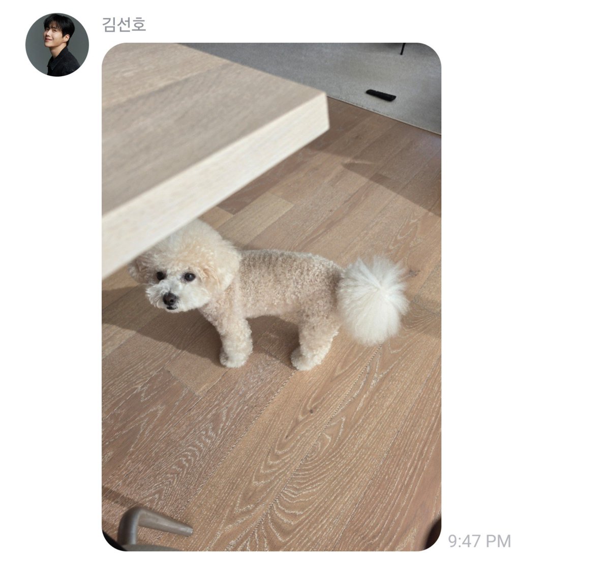 myjuyz_seonho's tweet photo. 260819 kim seonho fromm update

What did you have for dinner?
I'm duck meat.
(sent 2 pictures)
Hehe
(What do mean) Manager?
This is only installed on my Galaxy.
Actor Fromm.
(sent Sogeumi pic)
I don't have business phone.
I use only Galaxy.
But I feel like Sogeum is glaring at you... is it just my imagination? Is it hahahahaha
ㄴYes, that's right.
I’m jealous of Banff.
I want to run too.
It’s been a while since I’ve been able to do it.
I’ve been a little all over the place because of filming.
I have a lot of lines.
There are really a lot.
It's Bonjour Bakery!
I want to watch it too.
Fighting!
It’s hot out, so don’t wear yourself out. Have a good rest of your day!!
Did Seonho really send this? 
ㄴWhy is everyone suspicious?ㅋㅋㅋ
I’m the only one who use/do this.