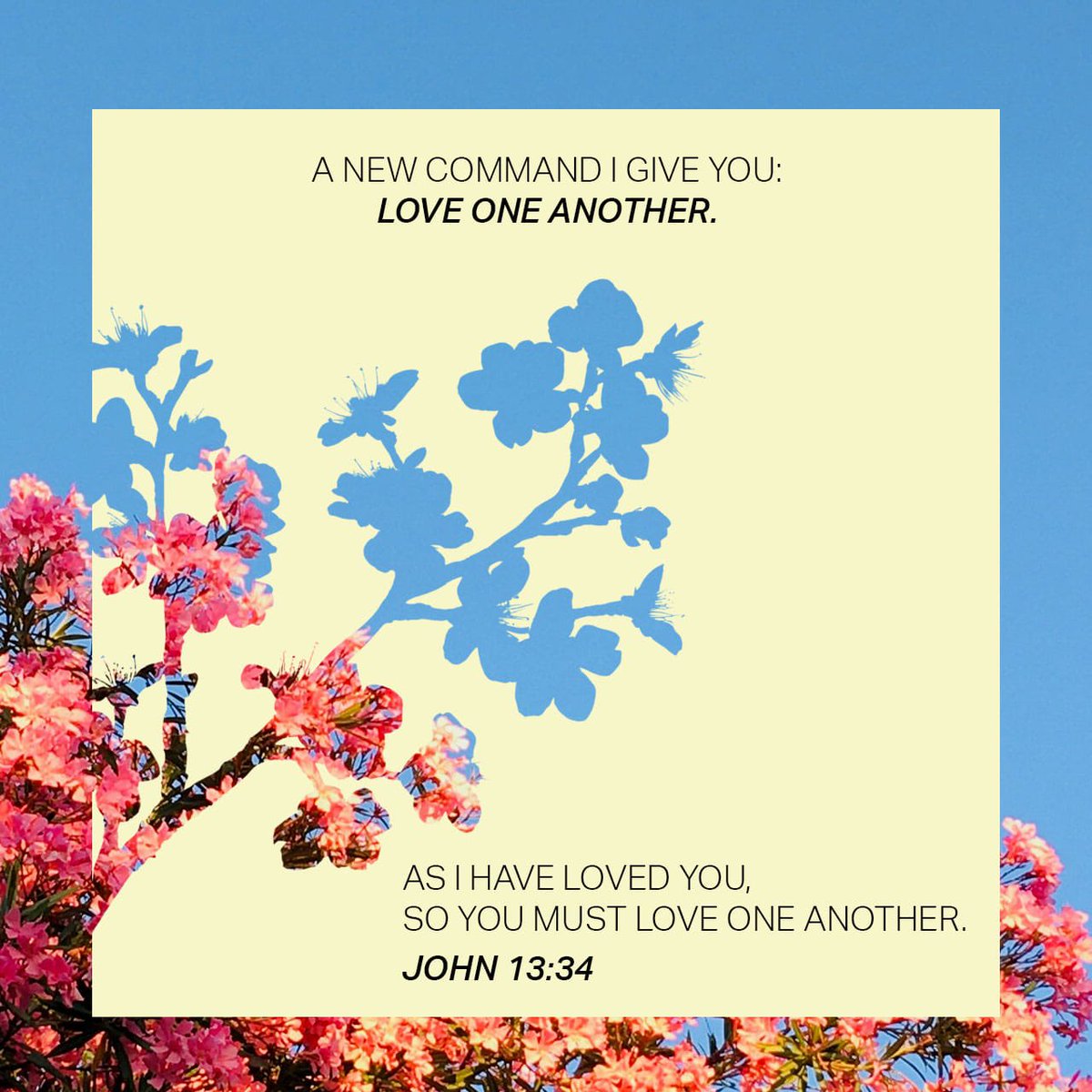 Lolly7774Christ's tweet photo. #Jesus https://t.co/nkVVIP9MRk