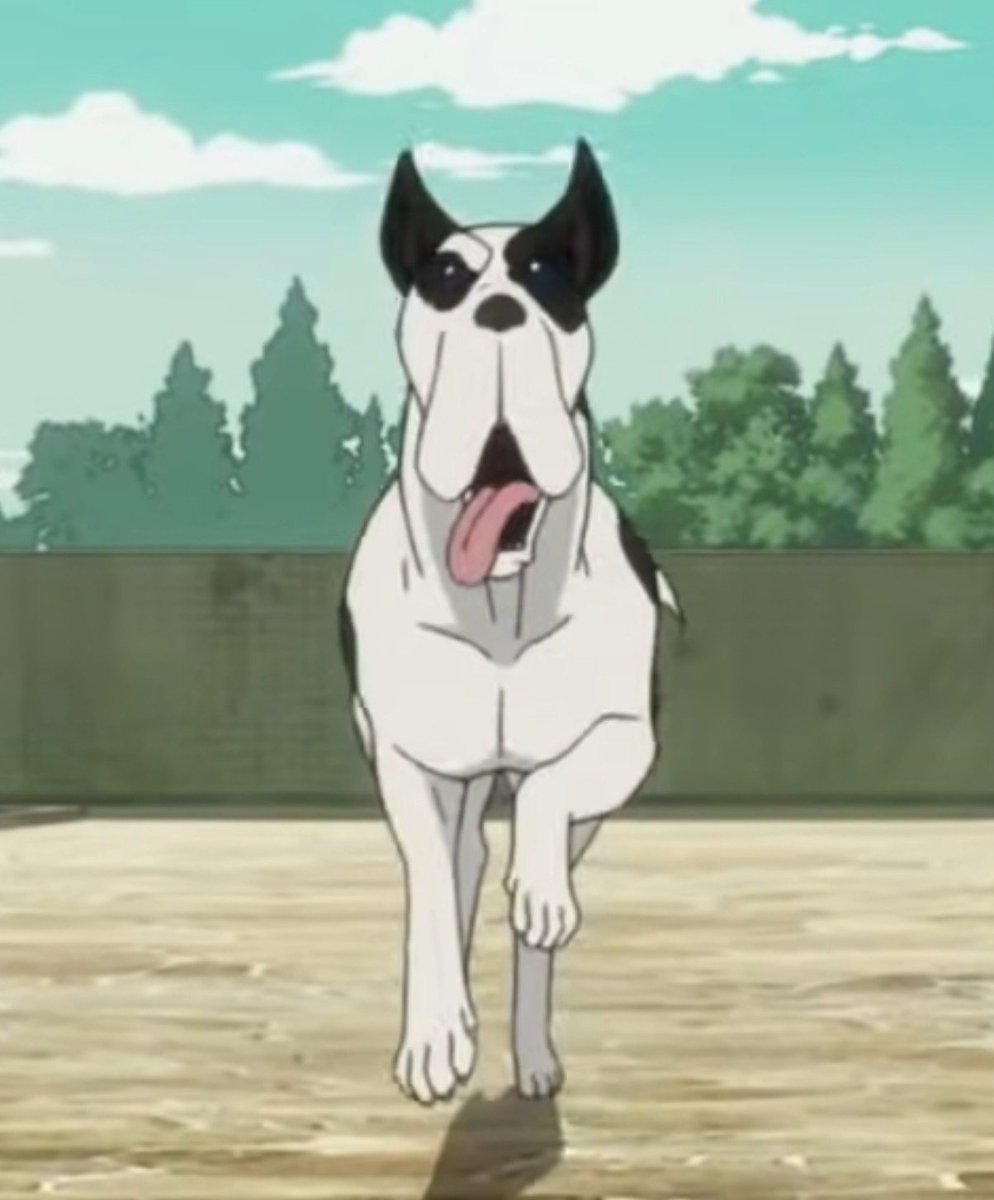 Jojolion_2011_'s tweet photo. Cuál es su animal favorito de jojo's? https://t.co/iBSoa1luKq