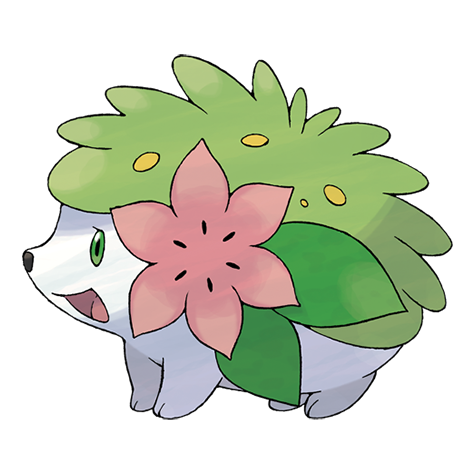 Lill9225's tweet photo. @Pumkit_ She looks like a princess in a way. Maybe if its a good concept, you can make a princess design for her or a design based off of shaymin 
Either can work https://t.co/s0SVmR7Okc
