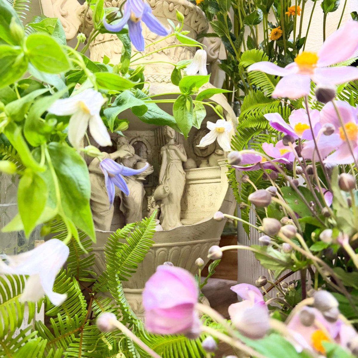 SHOParcobaleno's tweet photo. #クレマチス❦#Clematis/学名
和名/別名:#鉄線・風車・仙人草
#花言葉:精神の美・旅人の喜び
語源:ギリシャ語▶︎klema/蔓・巻き上げ
イギリスで蔓性植物の女王と呼ばれ
イングリッシュガーデンに欠かせない存在
#simple #white
#nature #blue
#cute #photo
#beautiful
#flowers #leaf https://t.co/GOtULNzxNf