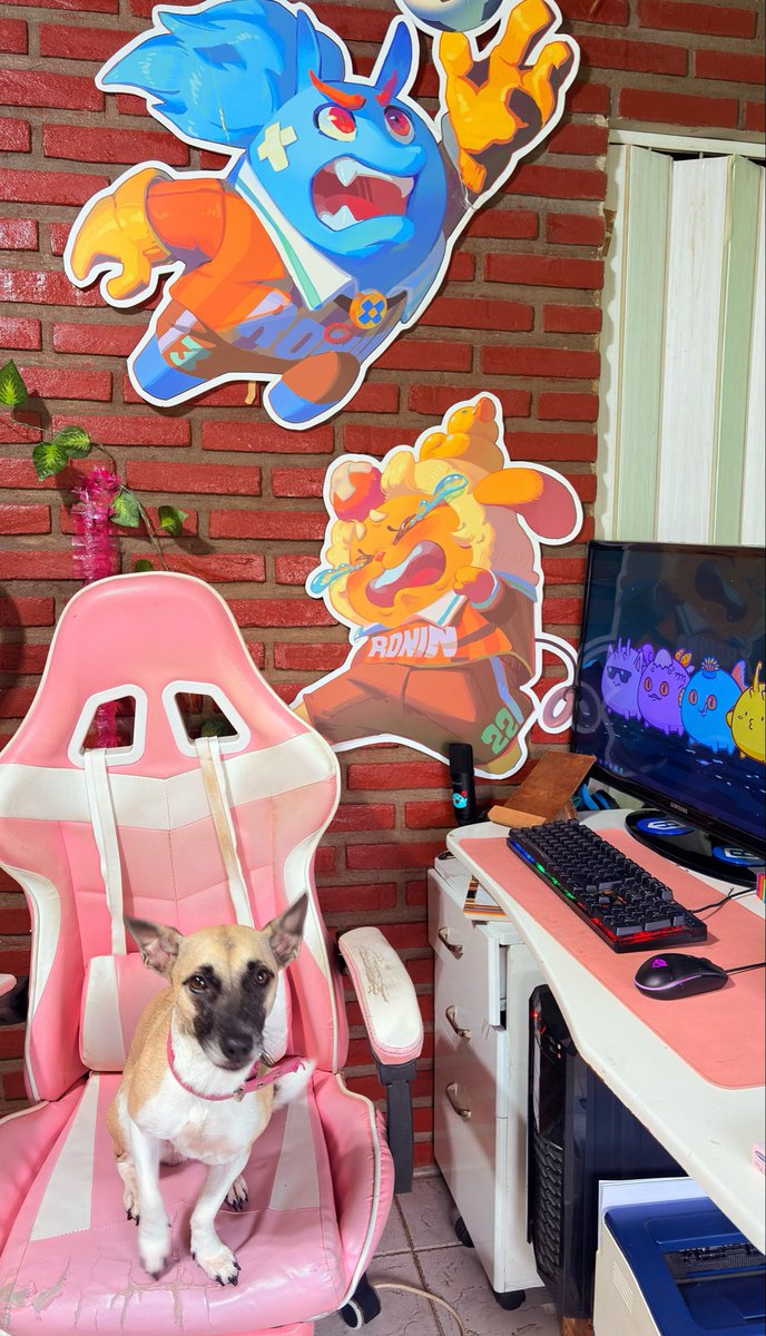 brisa_bit's tweet photo. My gamer girl loves @AxieInfinity ❤️ 

She’s my gaming buddy and my favorite companion for every match 🐶

GM 🌻

@Ronin_Network @Jihoz_Axie #kindcreator https://t.co/E8PshIDgXV