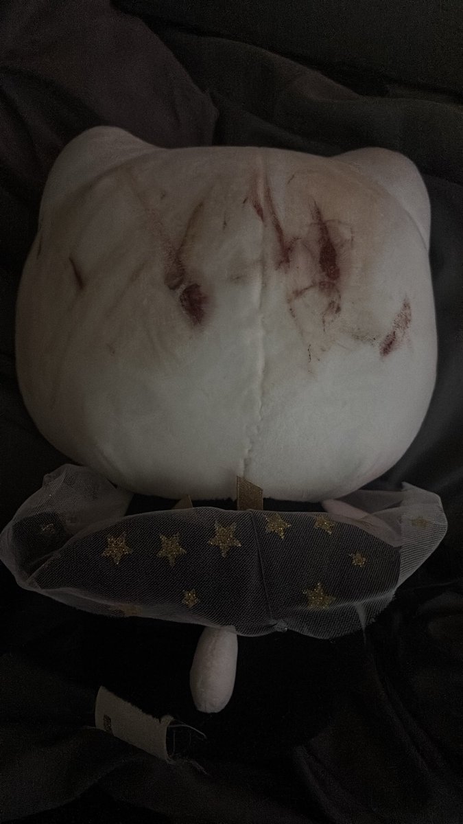 larpimic's tweet photo. ngl i be using my hello kitty plushie to wipe my blood sometimes. im so frixking sorry ms kitty. https://t.co/HwE5Mbr8yI