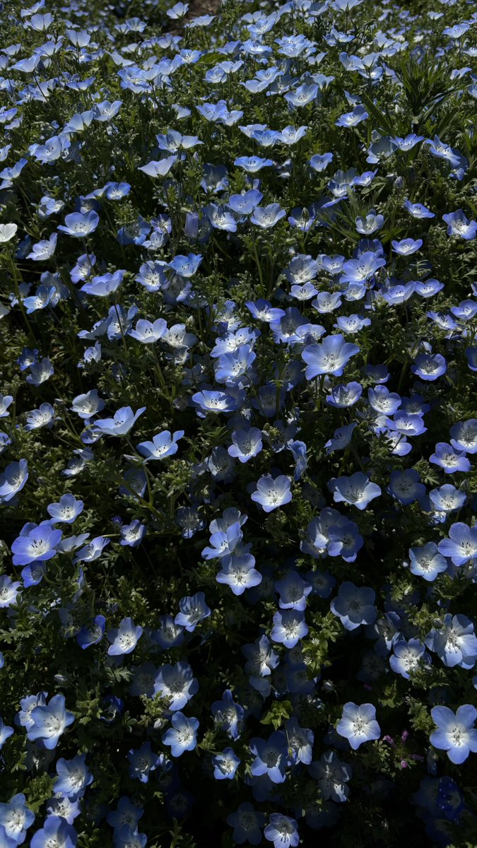 zdkl01 tweet picture