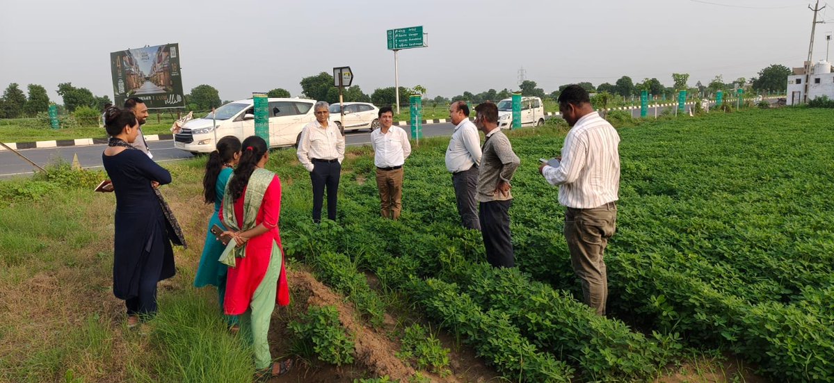 GujAgri's tweet photo. આજરોજ અગ્ર સચિવશ્રી, કૃષિ વિભાગ, શ્રી આર.સી. મીના દ્વારા ગાંધીનગર જિલ્લાના રામપુર અને બાલવા ગામની ખેતરોની મુલાકાત લેવામાં આવી હતી.

મુલાકાત દરમિયાન અધિકારીઓ, ગ્રામ સેવક તથા ખેડૂતો સાથે કપાસ અને મગફળીના પાક અંગે સ્થળ પર ચર્ચા કરવામાં આવી.

ખાસ કરીને Cotton Mission અંતર્ગત કપાસના ઉત્પાદન અને ઉત્પાદકતામાં વધારો થાય, કપાસની ખેતીમાં આધુનિક તથા વૈજ્ઞાનિક પદ્ધતિઓનો વધુમાં વધુ ઉપયોગ થાય અને ખેડૂતોને શ્રેષ્ઠ પરિણામો પ્રાપ્ત થાય તે અંગે જરૂરી માર્ગદર્શન આપવામાં આવ્યું.

તેમજ મગફળીના વાવેતર અને પાકની સ્થિતિ અંગે ખેડૂતો સાથે ચર્ચા કરી જરૂરી સૂચનાઓ આપવામાં આવી.

🌾 ખેડૂત સમૃદ્ધિ અને કૃષિ ઉત્પાદન વૃદ્ધિ માટે ખેતર સુધી પહોંચતું માર્ગદર્શન.

#CottonMission #GujaratAgriculture #Cotton #Groundnut #Farmers #Gujarat

@PMOIndia @ChouhanShivraj 
@Bhupendrapbjp