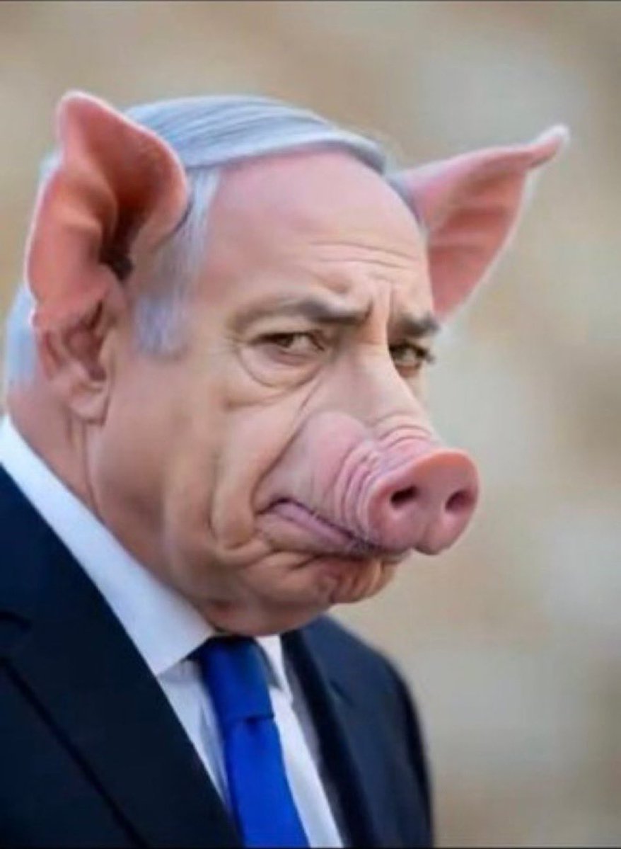 adisapt2's tweet photo. @netanyahu https://t.co/I9BI75xAYt