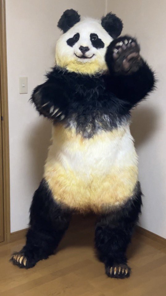nuitachi0614's tweet photo. 新作：リアルなパンダ着ぐるみ

このアカウントで制作進捗載せるので、フォローしとくと楽しいかも？ https://t.co/I2HQFaTrta