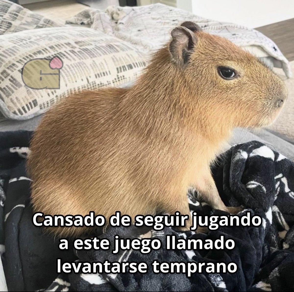 Guarromantico_'s tweet photo. Cansao. https://t.co/xYdSfi8n2Q