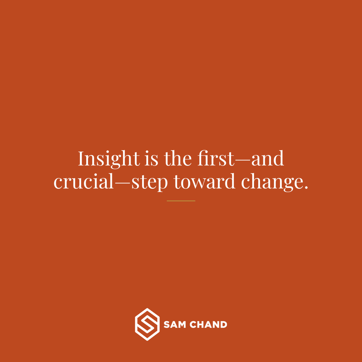 samchand's tweet photo. Before you can change anything, you must first understand it. Deep insight illuminates the path forward, transforming challenges into opportunities. Seek clarity, then act decisively. #LeadershipGrowth #StrategicThinking #InsightDriven #ChangeManagement https://t.co/YrgjXkgQMn