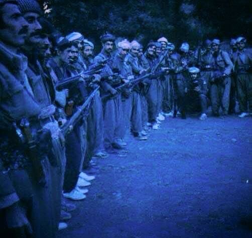 ci5d_5's tweet photo. بس سؤال هو ليش محد يجيب طاري البيشمركة وهما حاربوا الجيش العراقي 80 سنة من 1961 الى الان و تمرد و خيانة ليش ما يفكرون ينزعون سلاحهم ؟ https://t.co/hvY1kHZw1m