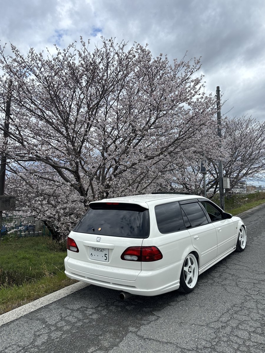 R31S2000's tweet photo. #ステーションワゴンはいいぞの会
どこでも行けるし、クイックに動くし、荷物も家族も乗れるし気に入っている https://t.co/aZruSEzygw