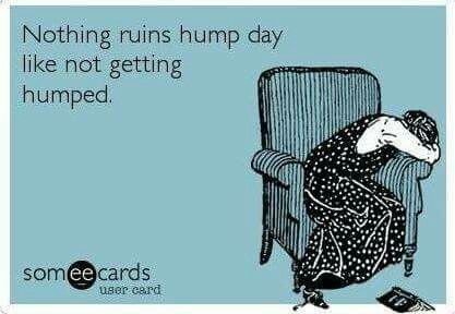 4Sunsetsecrets's tweet photo. I know this is the quickest way to ruin my day 😅😅 
Repost if you agree👇👇👇
Leave a comment and tell us about the quickest way someone's ruined your day? 🤔 https://t.co/JL1LFrD4me