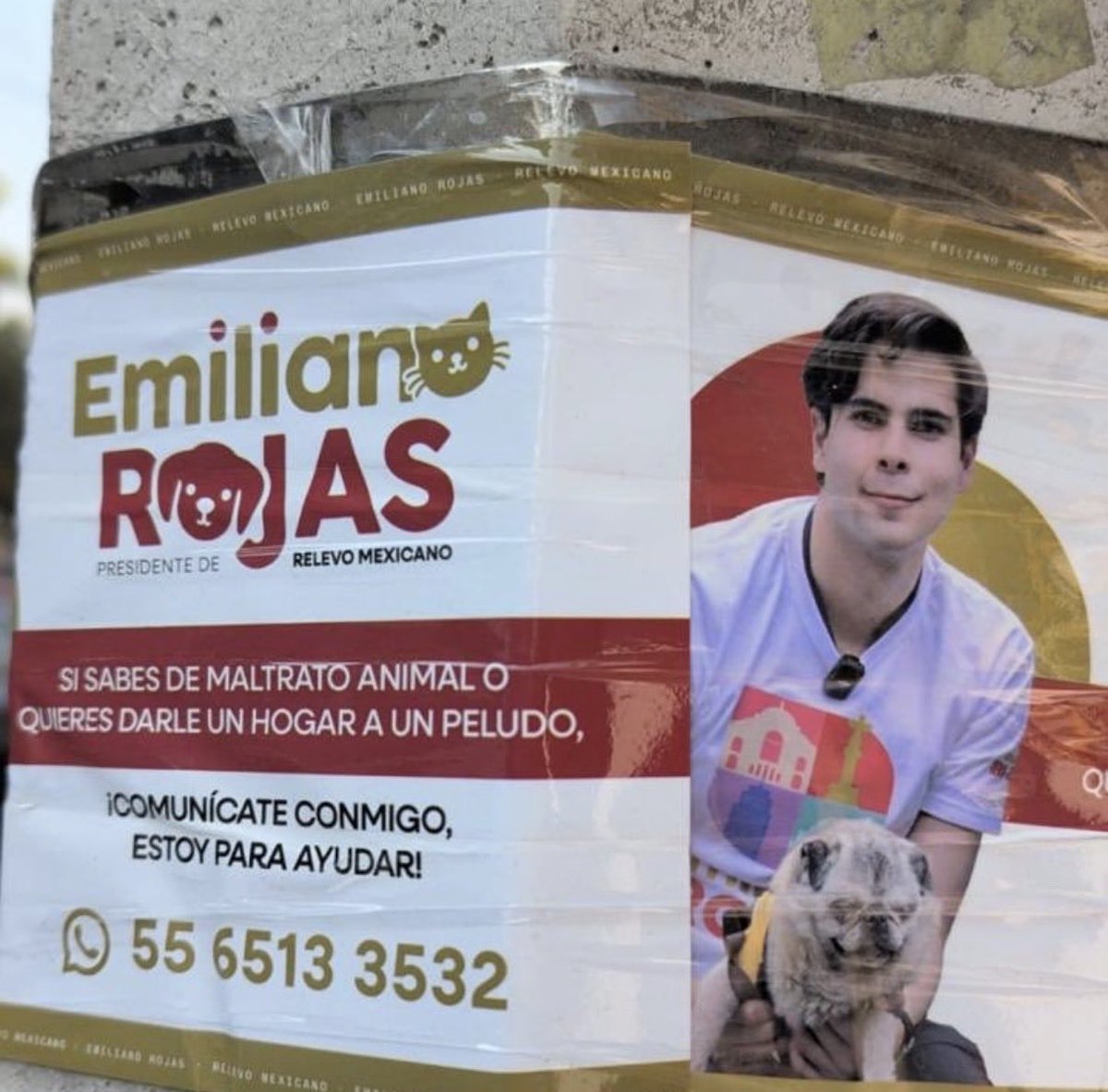 luis_gj's tweet photo. Verga el cinismo de este mequetrefe 
@emilianorojasg https://t.co/jhQhQOwGQA
