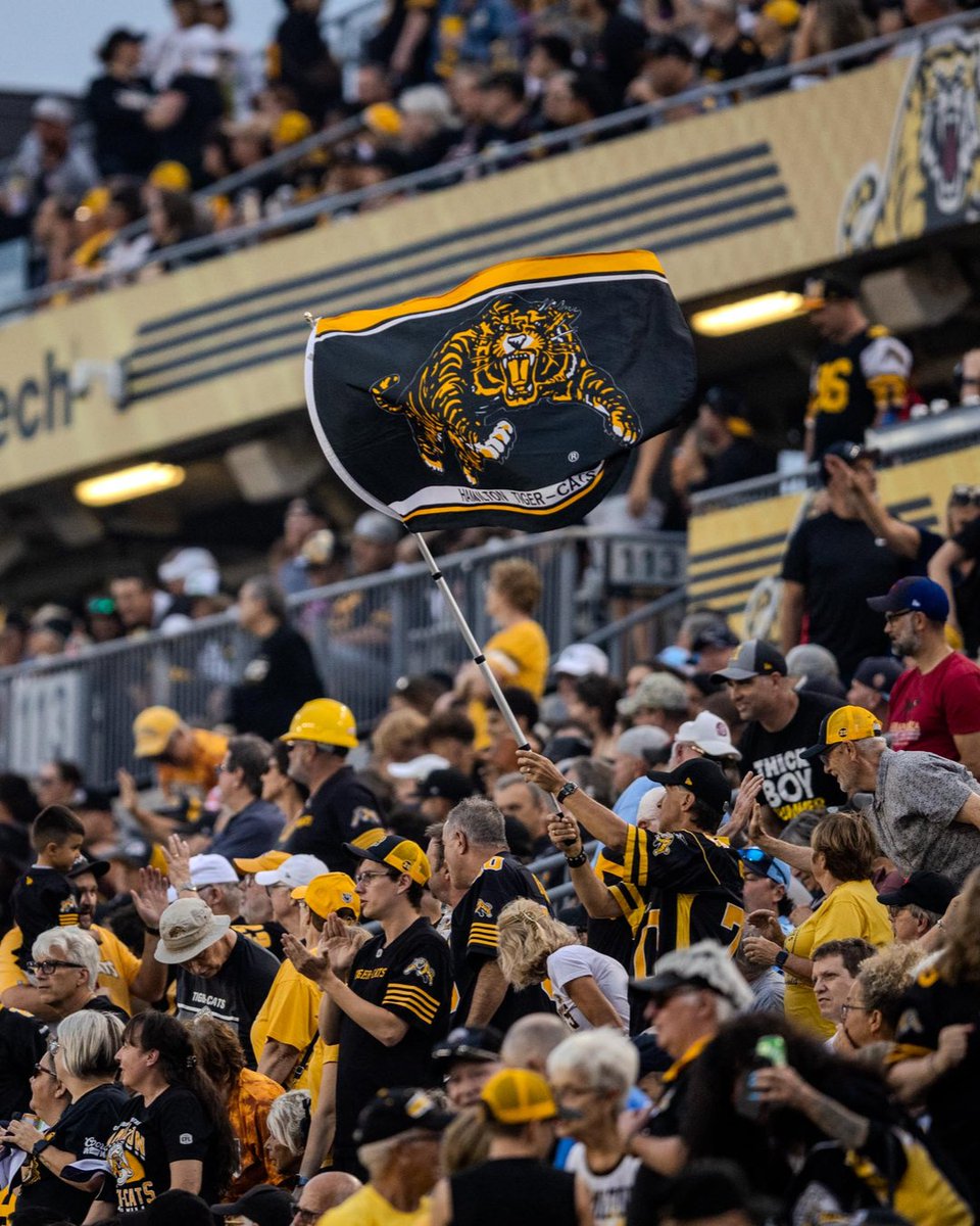 Ticats's tweet photo. The moments. The memories. The passion. 📸

Happy World Photography Day, TigerTown! https://t.co/fjW9gKeory