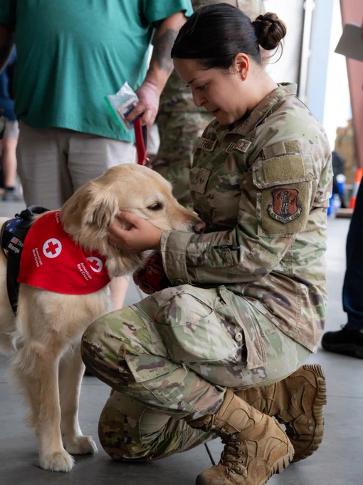 A person in military uniform kneels and affectionately interacts with a Golden Retriever wearing a red vest with the Red Cross logo. Others stand nearby in the background.