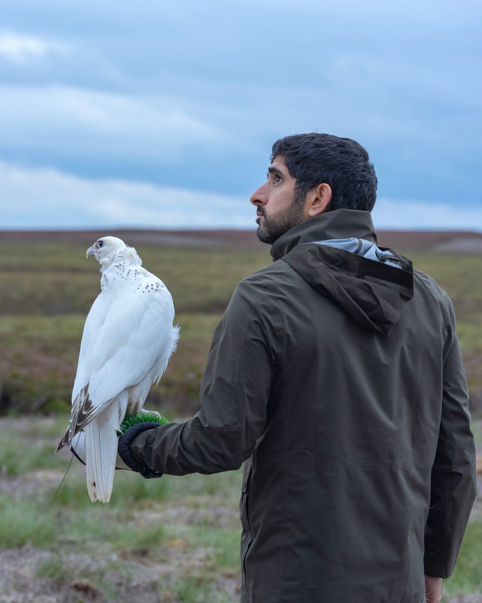groupfazza's tweet photo. Grouse days in #Yorkshire—wind, heather, focus and good times with good friends. #GrouseShooting #Fazza https://t.co/rt3lhz6IMj