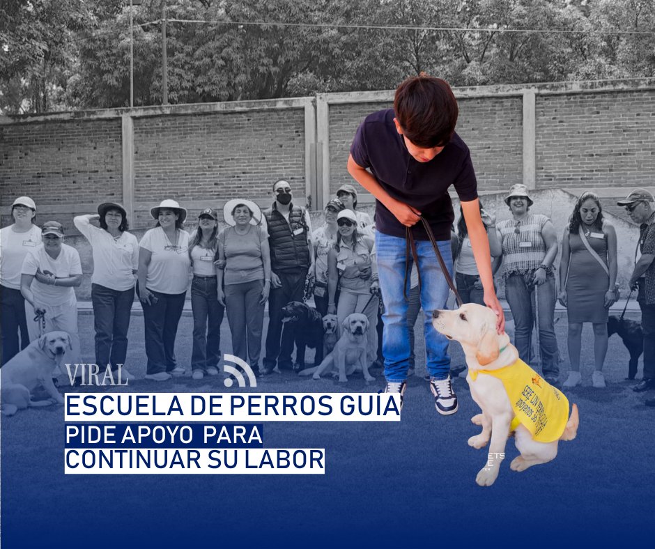 perrosguia tweet picture