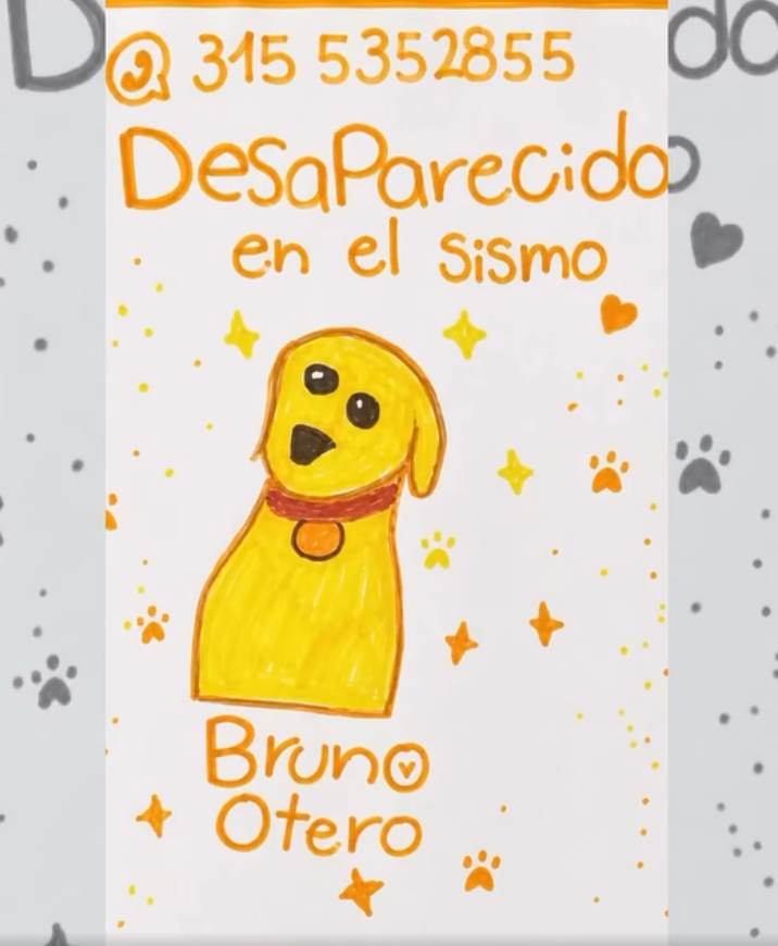 PlataformaALTO's tweet photo. Bruno, su perrito, había desaparecido en Cali durante el terremoto.
Con solo 7 años escribió su nombre, dibujó su carita y salió a buscarlo 🐶 
Ella no dejó de creer. No dejó de buscar. No dejó que el miedo fuera más grande que su esperanza.

Y Bruno volvió a sus brazos ❤️ https://t.co/dgHnR42wMM