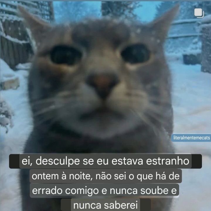 shitpostverdade's tweet photo. https://t.co/ob6dLFXKCx