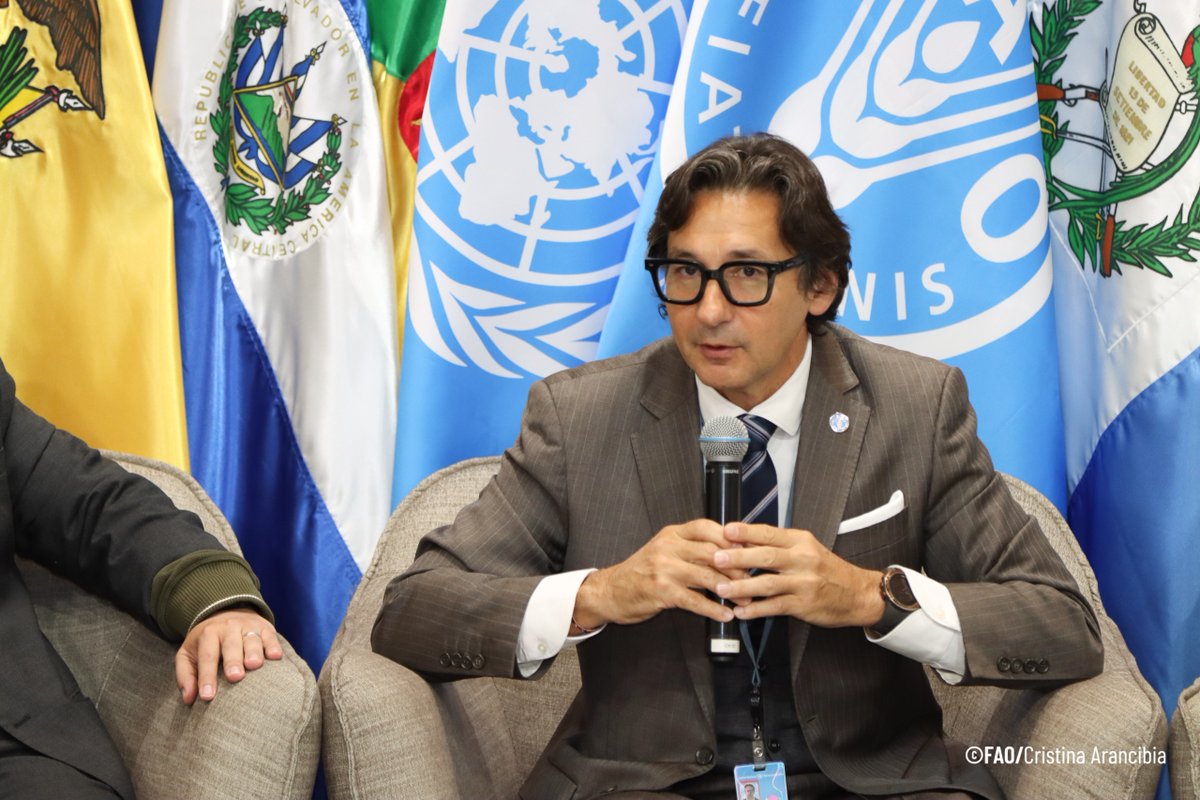 FAO_Colombia's tweet photo. #AEstaHora | @AZimmermannFAO, Representante de FAO🇨🇴, modera el panel 4 de #AgroInversionesALC sobre ecosistemas financieros bancables y el papel de las Iniciativas Regionales #ManodelaMano para conectar oportunidades de desarrollo con inversiones en los territorios. 🌎🤝 https://t.co/ixXq62B4RQ