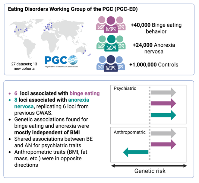 PGCgenetics's tweet photo. Led by researchers from King’s College London, University of North Carolina, and Yale University, genome-wide association studies of ~39,000 participants with binge eating behavior and ~24,000 with anorexia nervosa were conducted. https://t.co/hun8BpEv7f