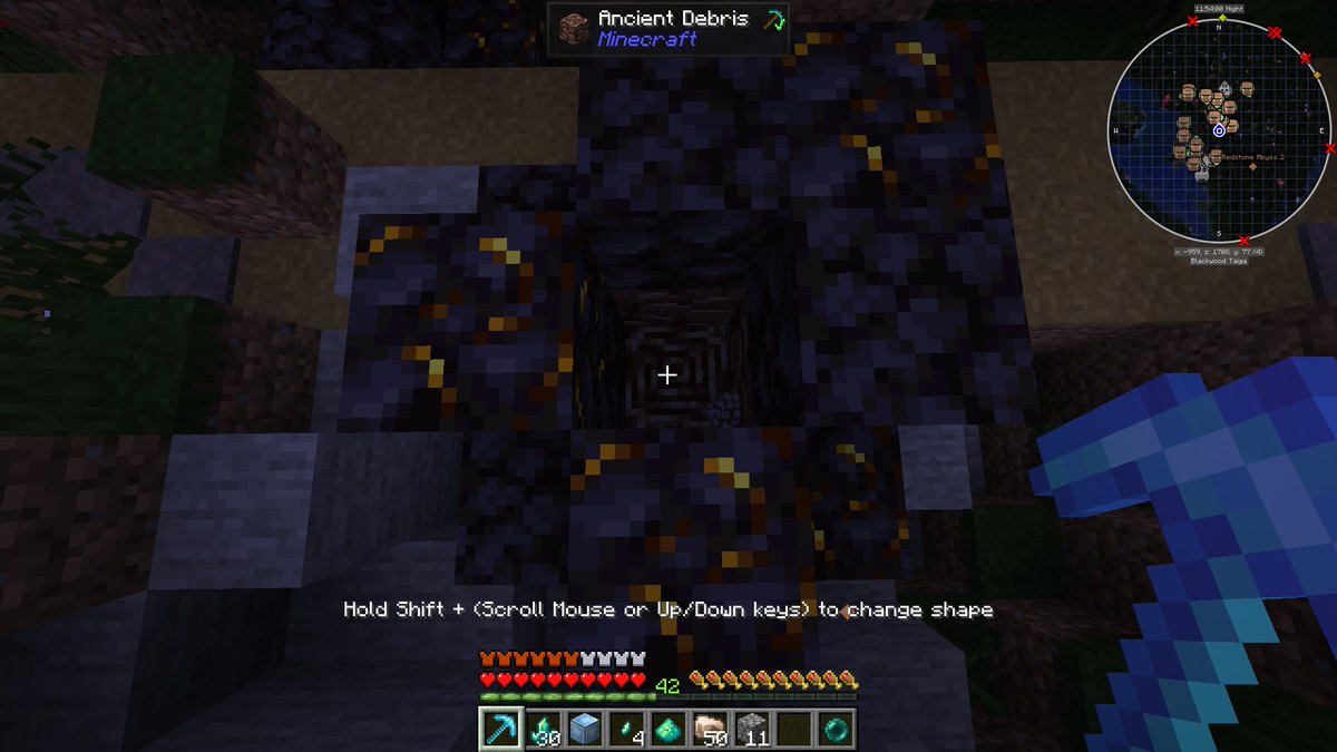 KittyKarousel's tweet photo. why is there ancient debris in the overworld. https://t.co/MoDhg8sNhj