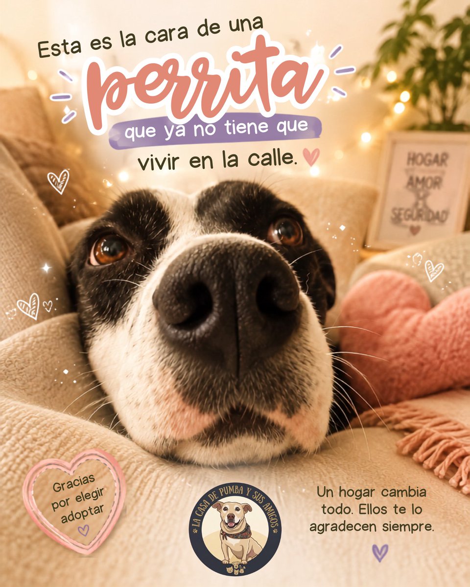 casa_pumba's tweet photo. ¿Sabían que Pecas es la más popular después de Pumba? Ella siempre supo que nuestra casa sería su hogar 🩷 https://t.co/5MEyvYZCxX