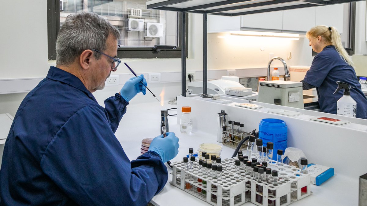 ANLIS_Malbran's tweet photo. Las infecciones por Escherichia coli productor de toxina Shiga (STEC), principal causa del síndrome urémico hemolítico (SUH) en la Argentina, requieren un diagnóstico oportuno y una vigilancia constante. El Servicio Fisiopatogenia del Instituto Nacional de Enfermedades Infecciosas (INEI) de la ANLIS Malbrán actúa como Laboratorio Nacional de Referencia y coordina la Red Nacional de Diarreas y Patógenos Bacterianos de Transmisión Alimentaria, integrada por 250 laboratorios de todo el país.

Para confirmar los casos, el equipo aplica un algoritmo diagnóstico que combina distintas técnicas especializadas, entre ellas las de biología molecular, identificación proteómica, secuenciación genómica y análisis bioinformático. Estas herramientas permiten detectar y caracterizar el microorganismo con precisión, conocer sus factores de virulencia y realizar la vigilancia genómica de las cepas circulantes en el país. Esto resulta clave para el seguimiento de brotes, la prevención de nuevos casos y la toma de decisiones en el sistema sanitario.

Además, el Servicio coordina, junto con el Servicio de Enterobacterias de la ANLIS Malbrán y la OPS, la Red PulseNet América Latina y el Caribe. Este trabajo fortalece la vigilancia genómica de los patógenos bacterianos de transmisión alimentaria, promueve la colaboración entre laboratorios de la región y contribuye a prevenir y controlar brotes.
