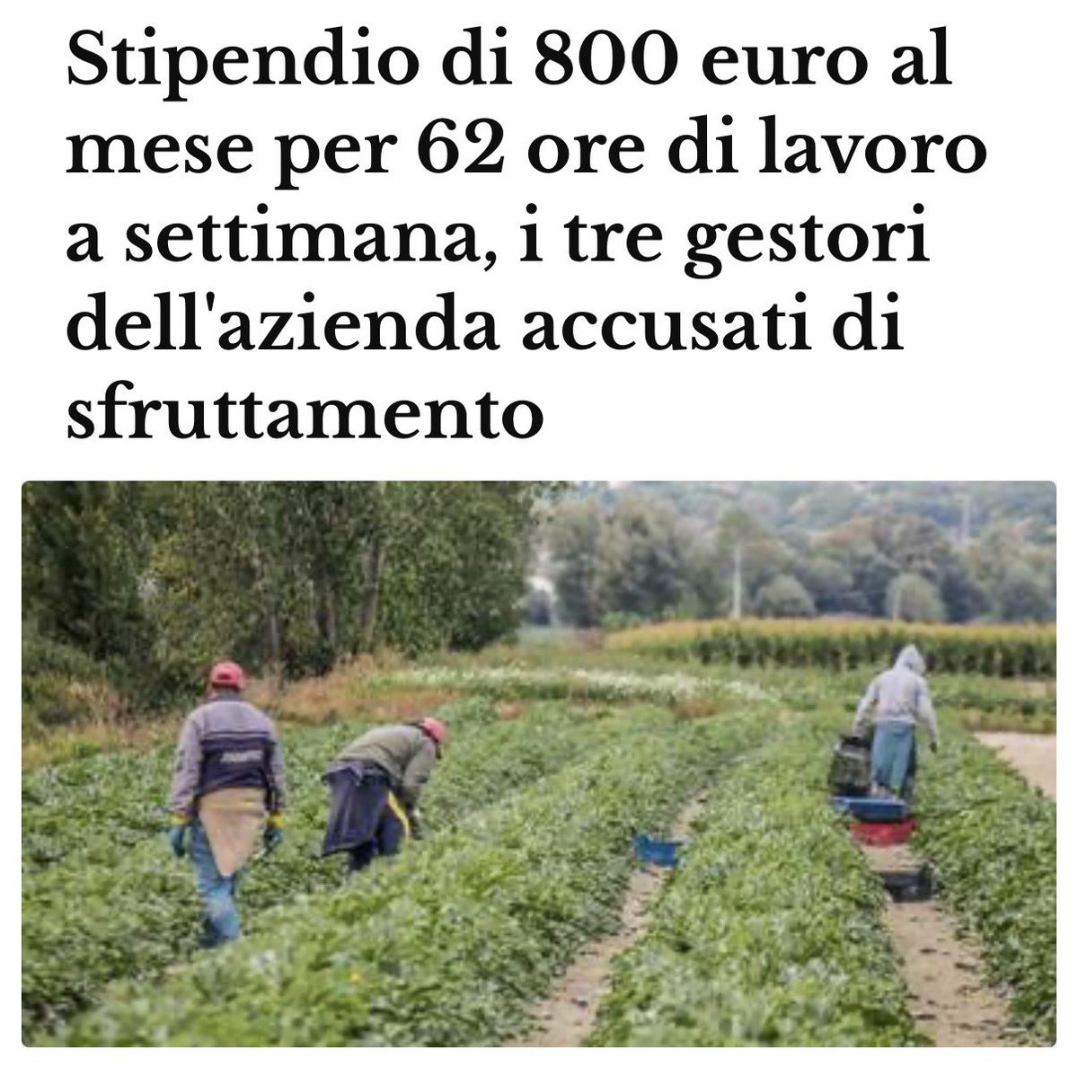 ProItalia_org's tweet photo. Fatturoni: “Ma gli stipendi non c’entrano niente! Ci servono più immigrati perché i giovani italiani certi lavori non vogliono proprio farli!” 

I lavori che i giovani italiani non vogliono fare: 👇 https://t.co/OXuOKynJnm