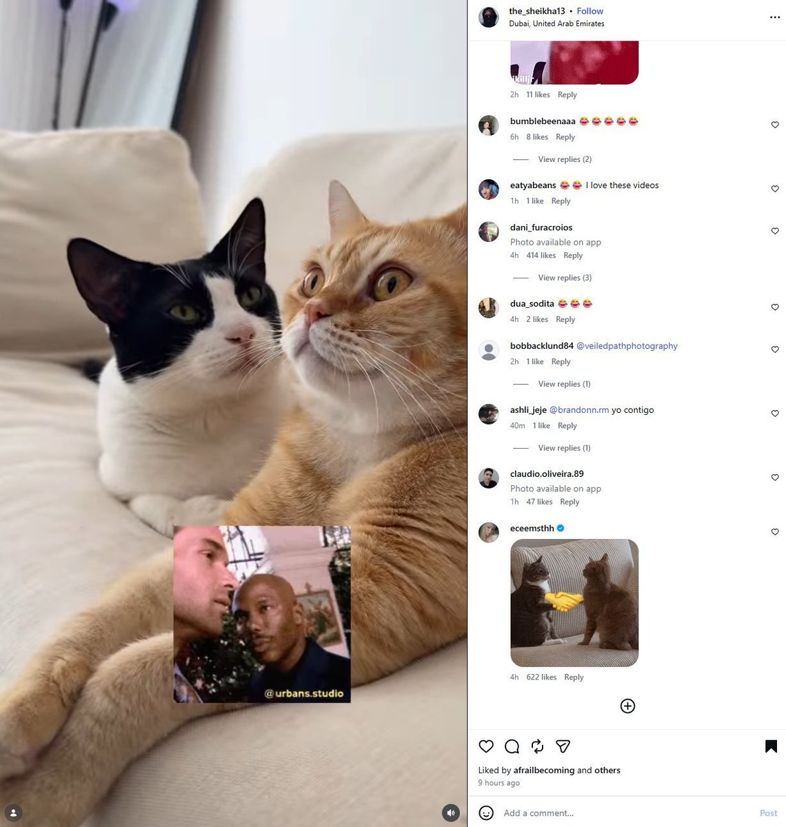 pumping_fun's tweet photo. Remember this famous dexter detective - just cant prove it meme?

This video is blowing up on IG reels with over 2M views and 400K likes and 20k reposts in 24 hours of these 2 cats perfectly reenacting the famous meme.  

This is $Cattective -  Just can't prove it
https://t.co/pY1Qf9GUyt