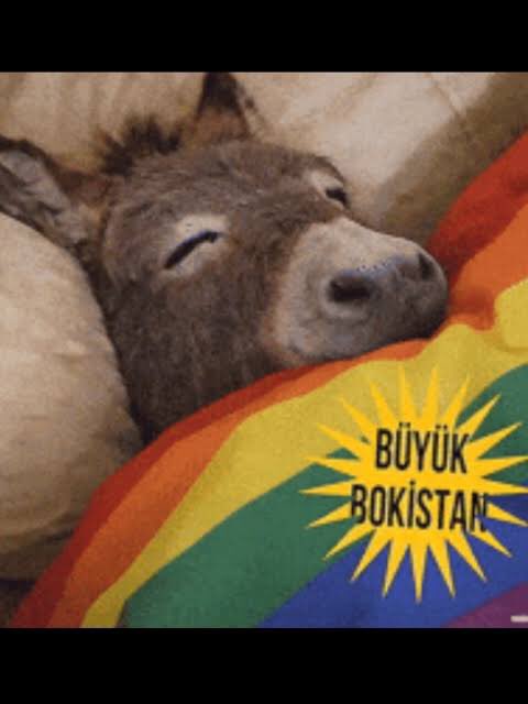 vpbb31's tweet photo. @xRonin34 Ss uyuandirma essegi aq wvladi https://t.co/v84YLxX8qi