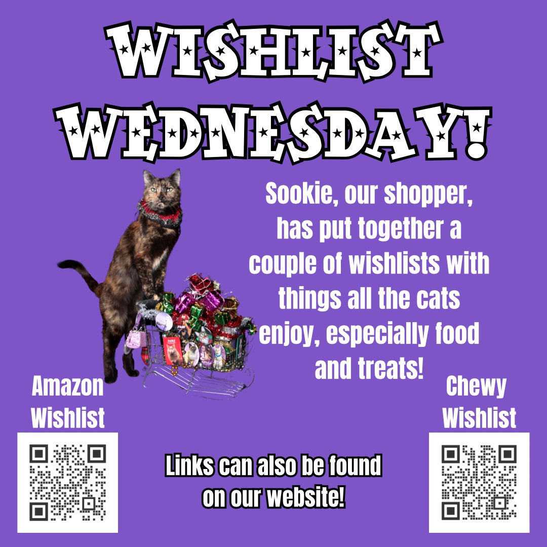 AmazingAcroCats's tweet photo. It's #WishlistWednesday! We can always use food and litter 💜
https://t.co/vK72i0B1X3
#acrocats https://t.co/YwMHRtAOaD