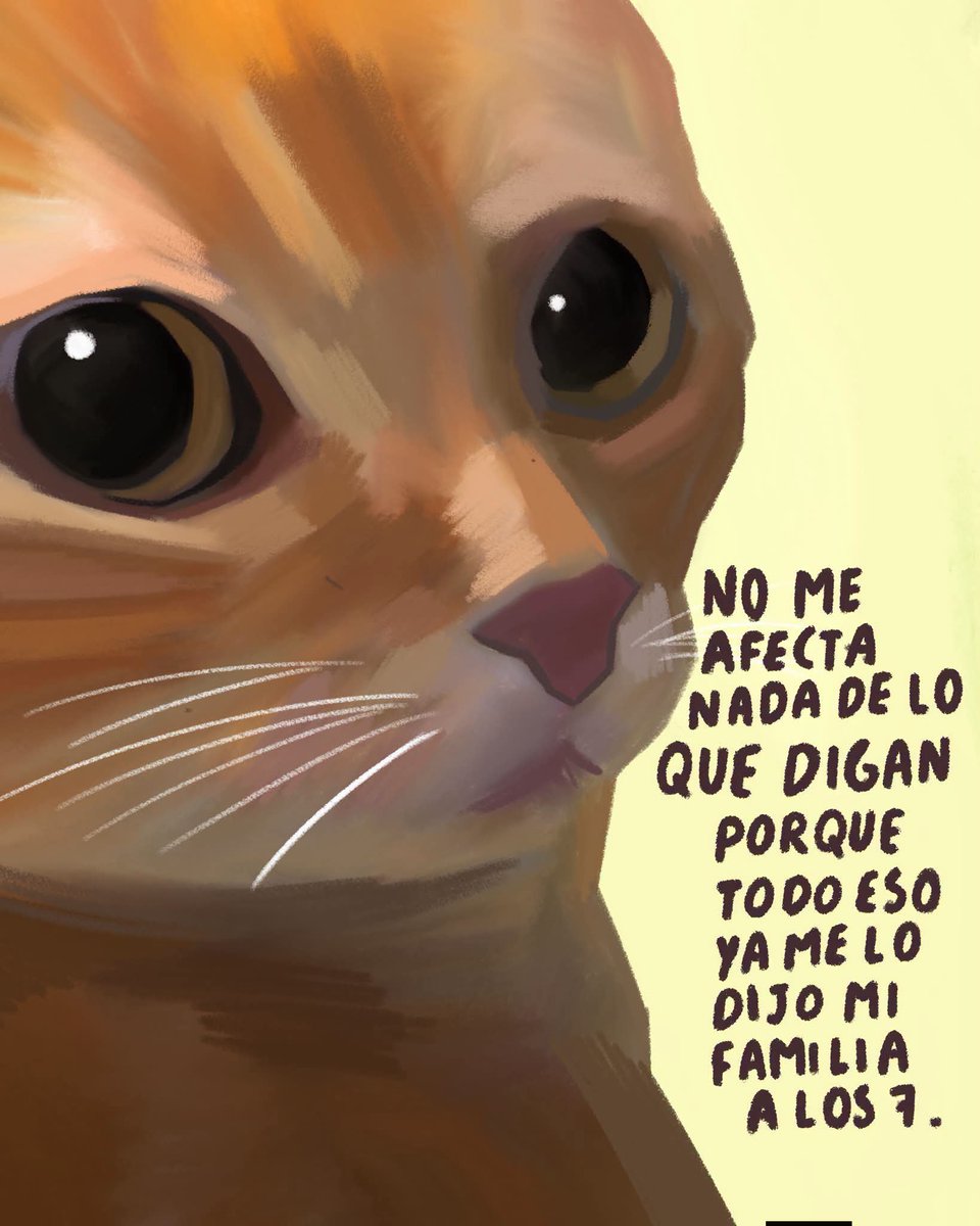 absurdamela's tweet photo. https://t.co/BOIgeebTxl