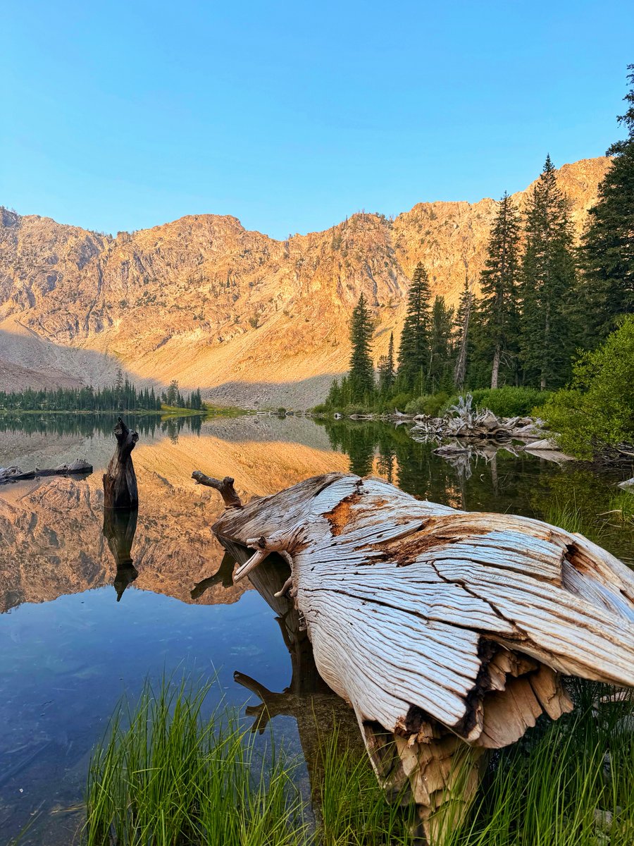 8ntmuch's tweet photo. How curious that some things grow more beautiful as they weather the storms.

Share your “weathered wood!” photos 🌲🪵 https://t.co/ctzkZYITgk