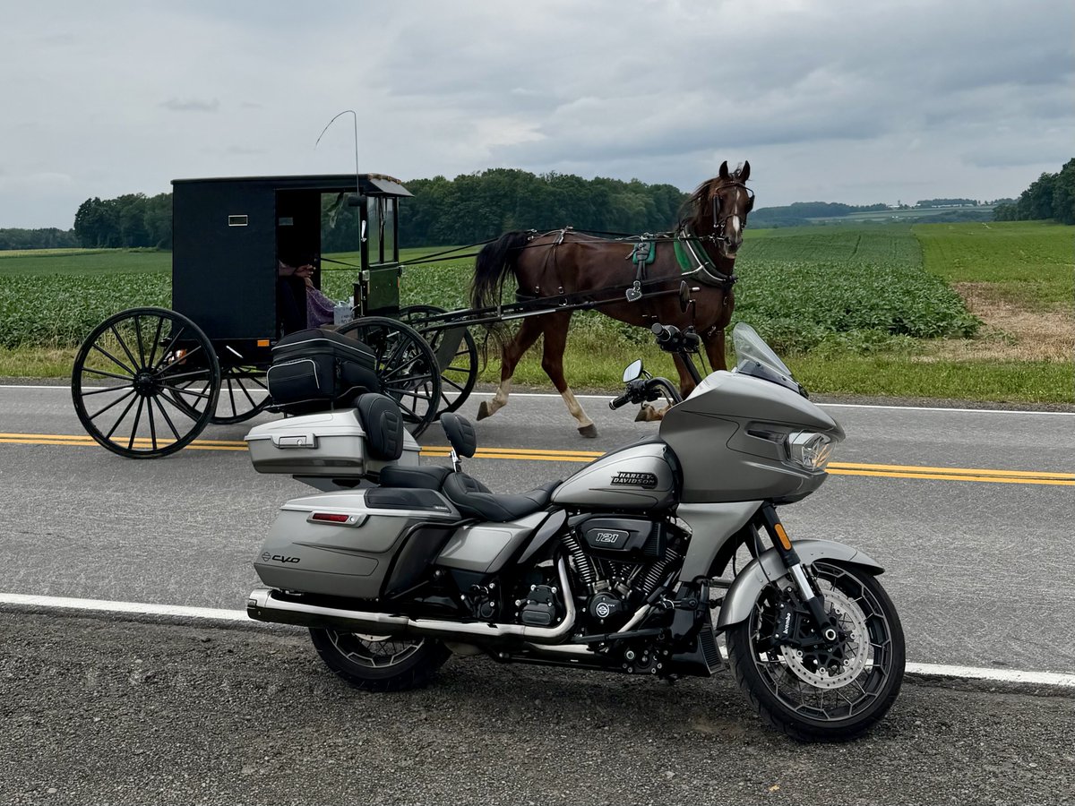 TheOutlawCPA's tweet photo. Captured perhaps the best photo of the trip on a backroad in Penn Yan. The Mennonites own the right shoulder of the roads here, and this horse didn’t like where I stopped to take a break.  He stuck his tongue out at me!  #TTFF #HarleyDavidson #HarleyLife #horsepower @PennYanNY https://t.co/RzjTPYGqMU