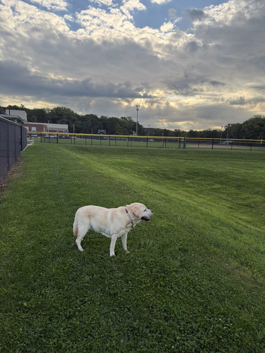 xvermonter61's tweet photo. Happy Wednesday! #WagWednesday #WontLookWednesday #DogsofTwitter https://t.co/MWR1PH31pL