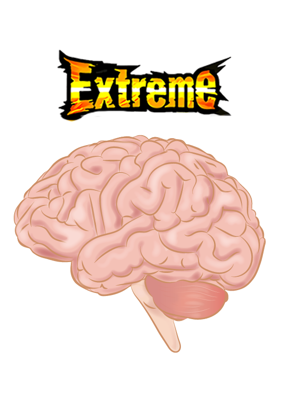 itsShrebee's tweet photo. #NEWCHARACTER #DOKKANBATTLE #DBZ
NEW HINT FOR THE UPCOMING CUSTOM CHARACTER COMING TO DOKKAN BATTLE!! https://t.co/zTSblK8i4p