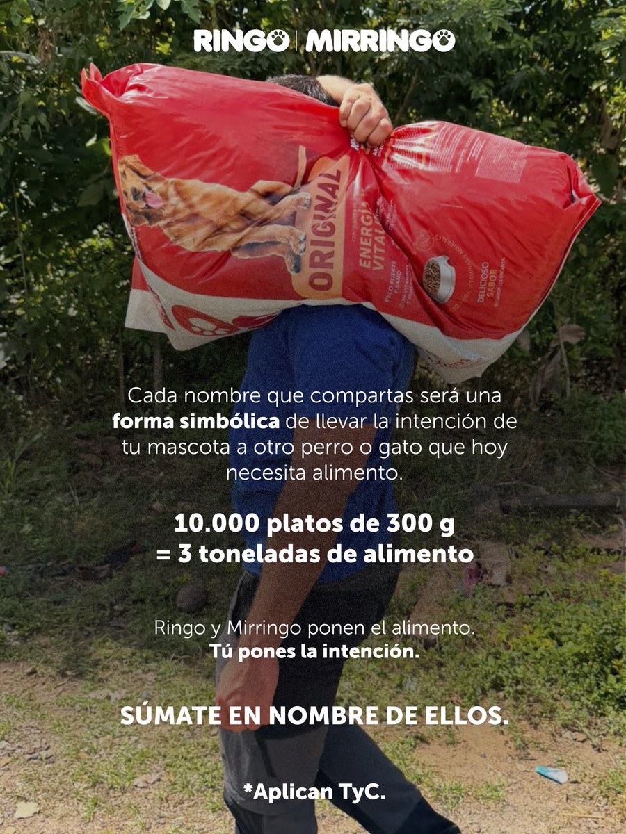 efectoringo's tweet photo. Ellos nos dan todo sin pedirnos nada a cambio. Hoy podemos hacer que ese amor llegue un poquito más lejos.

Queremos convertir esta ayuda en un gesto colectivo de quienes sabemos lo que significa tener un perro o un gato esperándonos en casa.

Porque cuando uno de ellos lo necesita, somos muchos los que podemos decir: estamos con ustedes. 

Por eso además de las 3 toneladas que ya donamos, donaremos 3 toneladas más.

Desliza y descubre cómo tu perro o gato, también puede ser parte de #BrigadasSOSRingoYMirringo.

-Donaremos 3 toneladas de alimento entre perros y gatos
-Válido únicamente en Colombia.
-Puedes dejar el nombre de tu mascota y tu mensaje de apoyo en X o IG.
-Aplican T&C en:  https://t.co/1DBdxrveuR