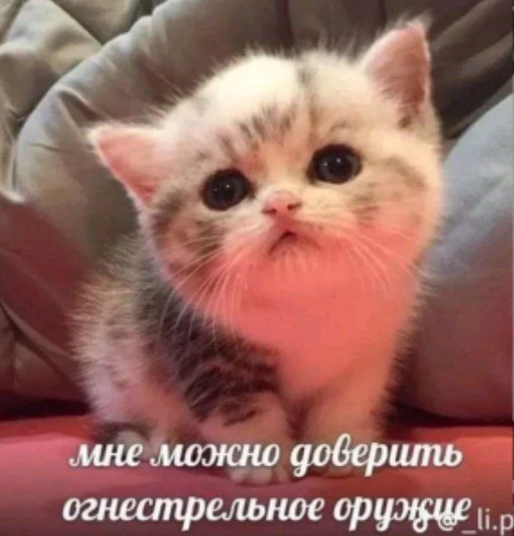 DabiLOXware's tweet photo. https://t.co/t766vxNbGn
