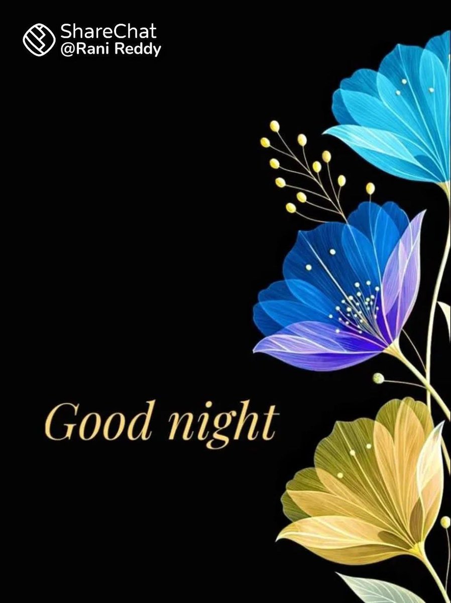 Tara_garkoti's tweet photo. 💙💫🌟💦Good 🙏 night 💦💫🌟💙 https://t.co/rYs07MovOb