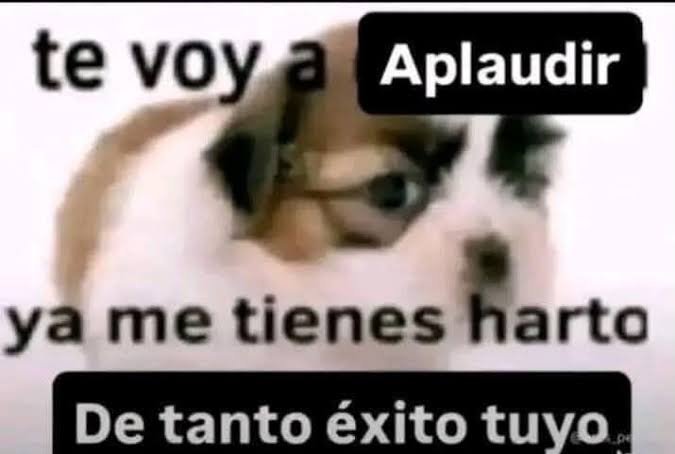 RevolverRubber's tweet photo. @michangoonga Bueno al menos salen, conviven y se divierten https://t.co/QaJnWl5w42