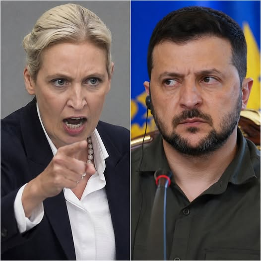 LpDrasnop's tweet photo. SCANDALE DU SIÈCLE ! Alice Weidel balance les comptes offshore cachés de Zelensky et exige le blocage immédiat des milliards !
Le casse du siècle sur le dos des contribuables allemands et européens vient de déclencher une guerre politique totalement sans précédent ! https://t.co/16pt7hRMZm