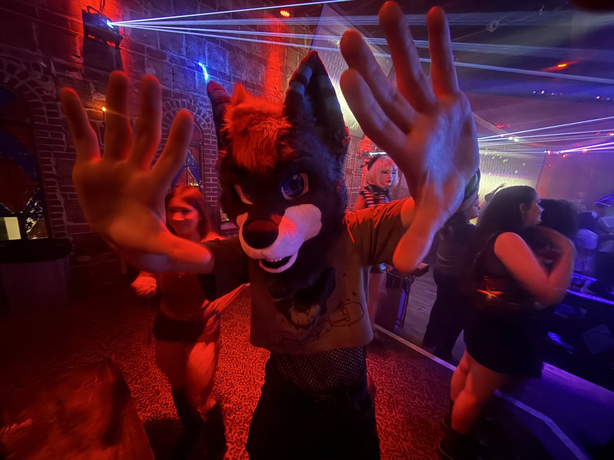 RukeeTheHusky's tweet photo. Something something how to find me at megaplex 

Yadda Yadda yadda https://t.co/l0wOpXIVd9