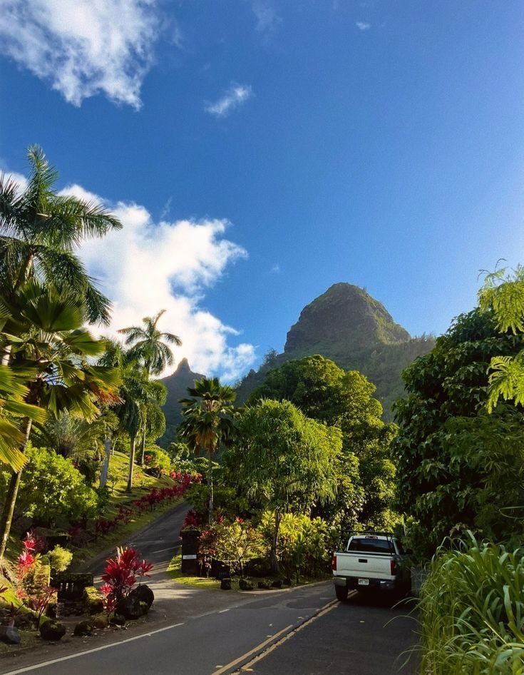 Alina_bloom79's tweet photo. Hawai https://t.co/zQ0hFYUAhm