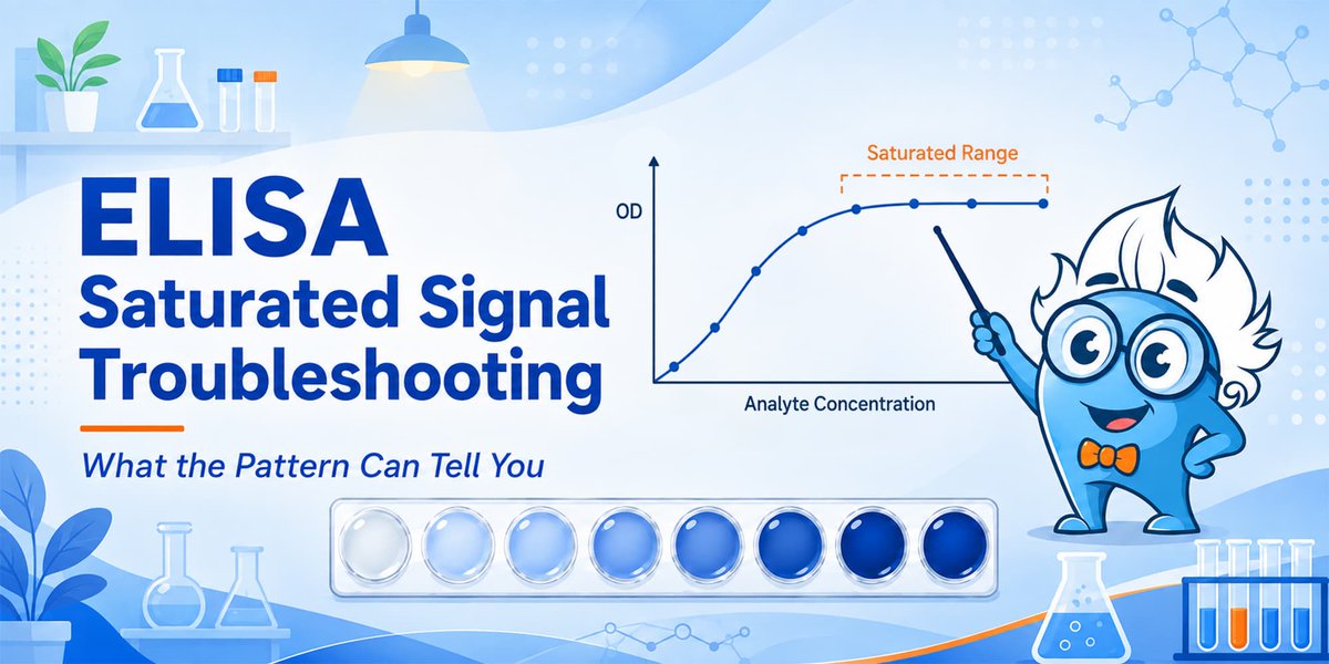 BosterbioCo's tweet photo. Same high OD. Different problem.
Where your ELISA signal saturates may tell you what went wrong.
👉 https://t.co/yapeY3aNm6
#ELISA #ELISATroubleshooting #Immunoassay #bosterbio https://t.co/LcNSUvrxQB