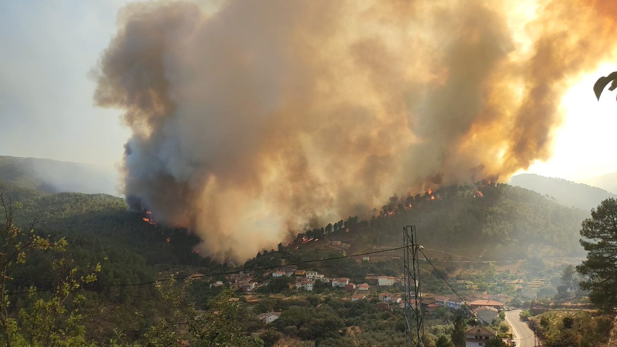AT_Brif's tweet photo. 19:10🎥#IFPinofranqueado #Cáceres 

Momentos complicados que se viven en Cerezal en el incendio de Las Hurdes.

3 #BRIF de @mitecogob trabajando @BRIF_PINO @brif_iglesuela y @brifpuertopico.

Activada también @brifpuertopico TED para sumarse al trabajo nocturno. https://t.co/ky3rryNVDd