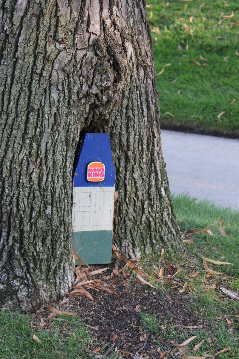 taylr's tweet photo. world’s smallest burger king coming soon to this tree in minneapolis. was fun to see this in front of a mansion in cedar-isles-dean, very unexpected place for it https://t.co/O9Ao4h3xOc