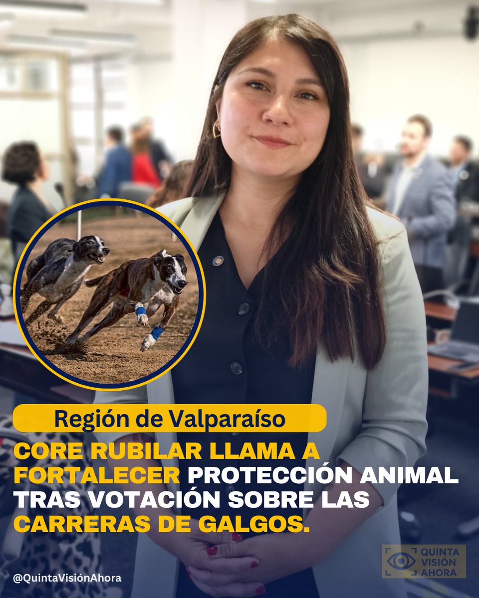 quintavahora's tweet photo. 🐕 La Cámara de Diputados votó proyectos sobre carreras de perros. La CORE María Elena Rubilar respaldó la prohibición y llamó a fortalecer la protección animal. #Galgos #Perros #Valparaíso
Lee más acá 👇👇👇
https://t.co/4uKUIOyRiw https://t.co/uJYKK2IzeJ