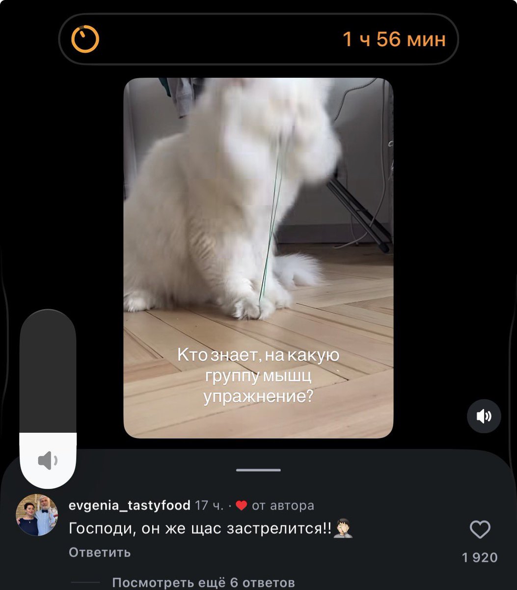 AndjeG's tweet photo. @memesmymemes Не знаю, считается ли это мемом, но меня капец как рассмешил комментарий на видео, где котик тянет резиночку. https://t.co/JLZipeIs5x