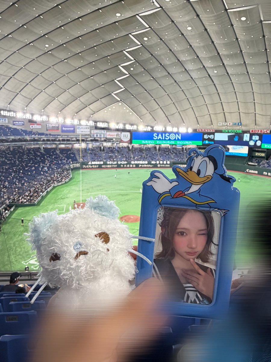 fcls2u's tweet photo. カメラの倍率を0.9xにすると手元と背景の両方にピントが合うと知ってから楽しすぎる https://t.co/KBRfPJnwLw
